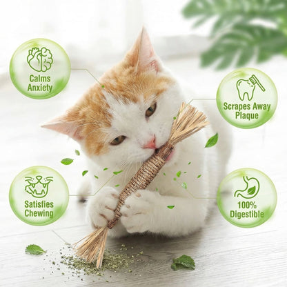 Vexnoraa Natural Silvervine Sticks (Pack OF 5)