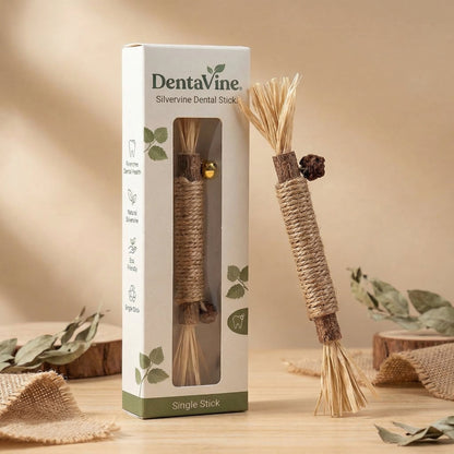 Vexnoraa Natural Silvervine Sticks (Pack OF 5)